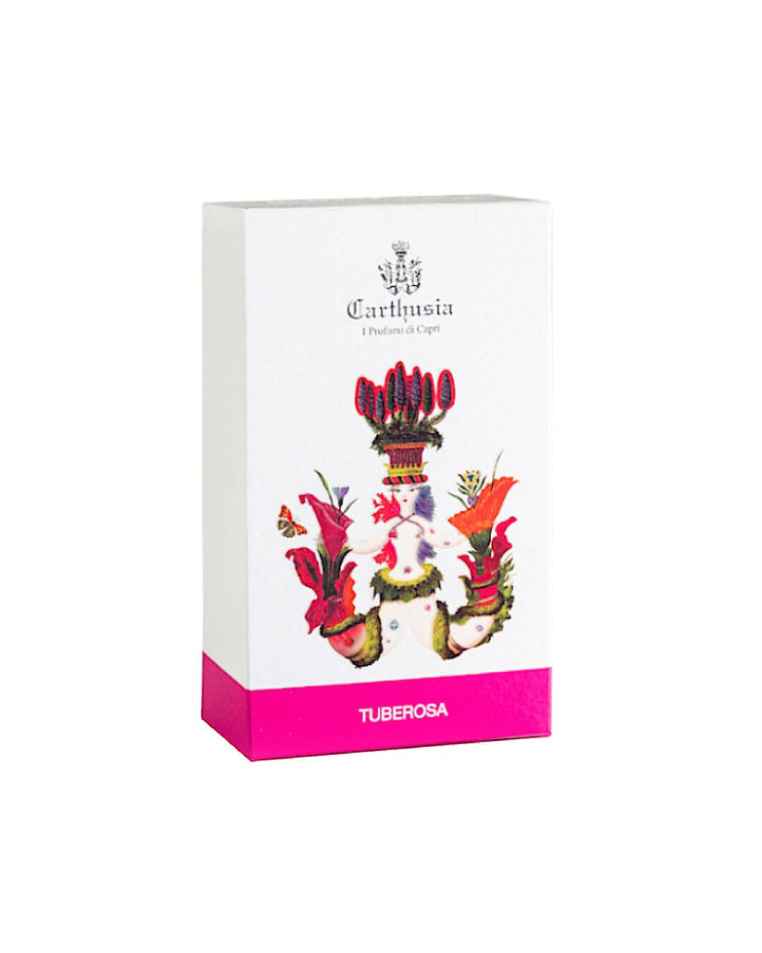 Carthusia Tuberosa-2