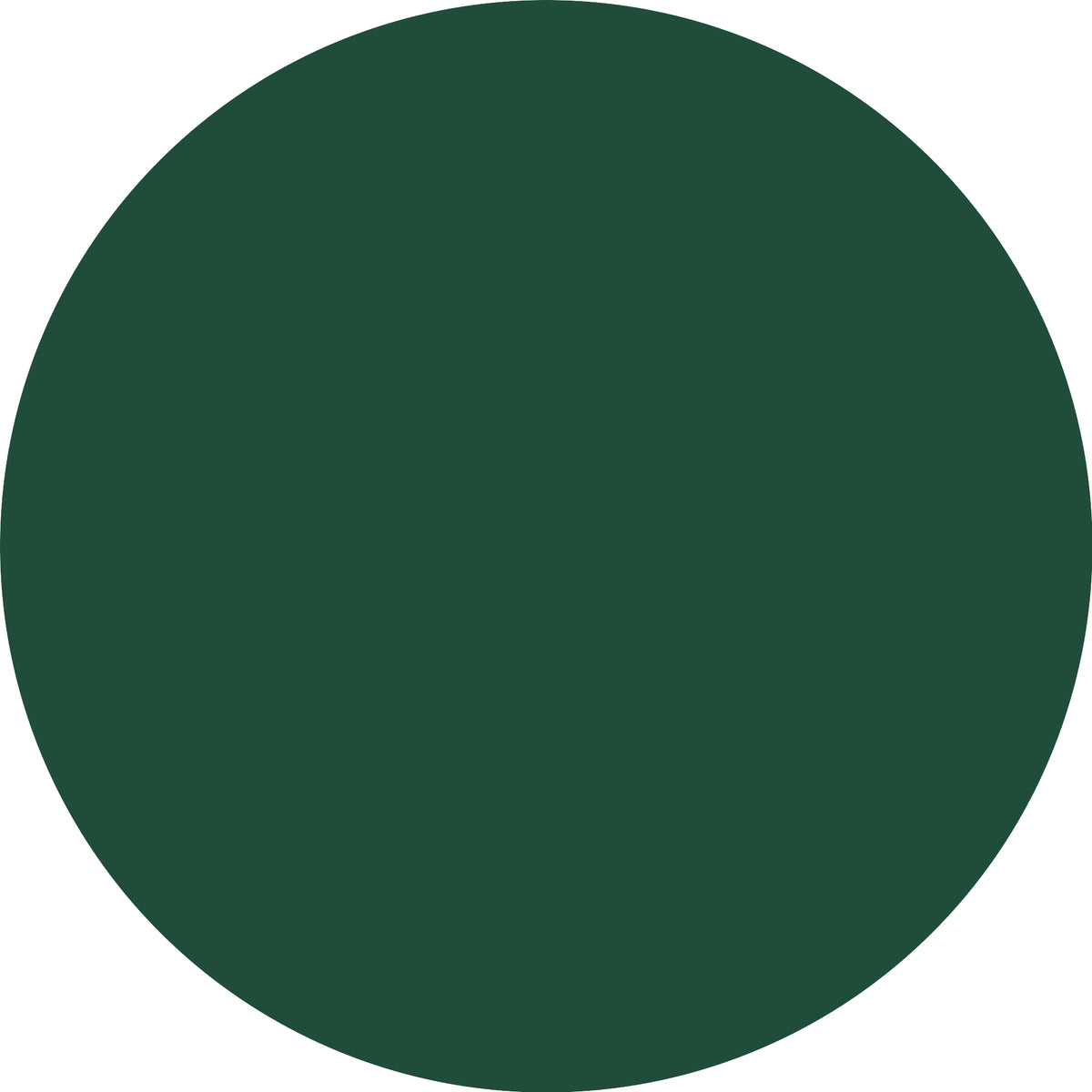 ESSENCE Gel Nail 13 Emerald Energy-3