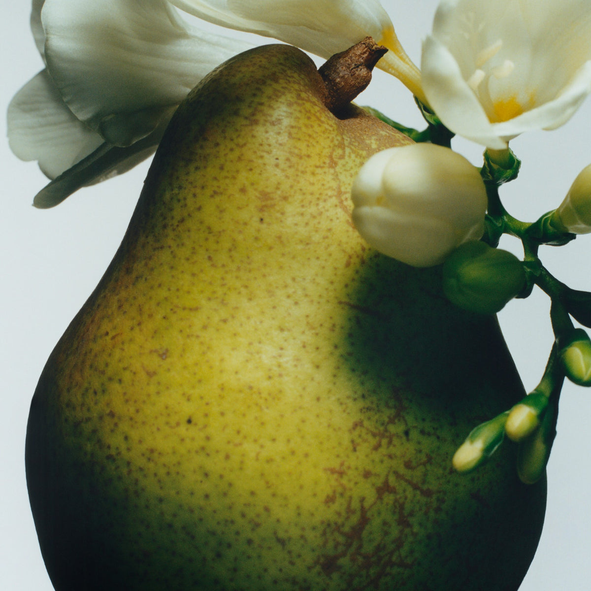 JO MALONE LONDON English Pear Everywhere & More -2