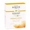 Maison Berger Paris Diffuseur Voiture Recharge Aroma Energy 2x17gr eur Voiture Recharge Aroma Energy