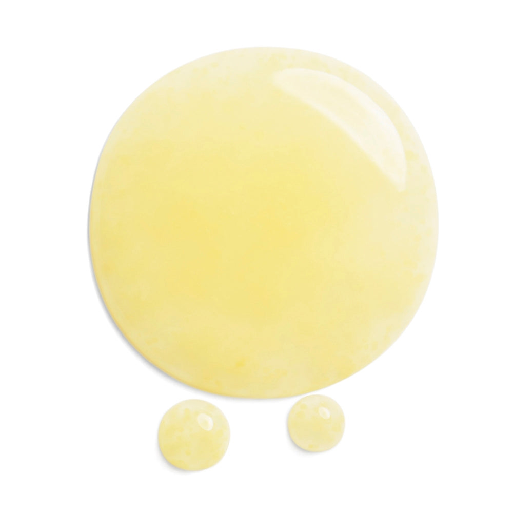 Shiseido BENEFIANCE Wrinkle Smoothing Serum-3