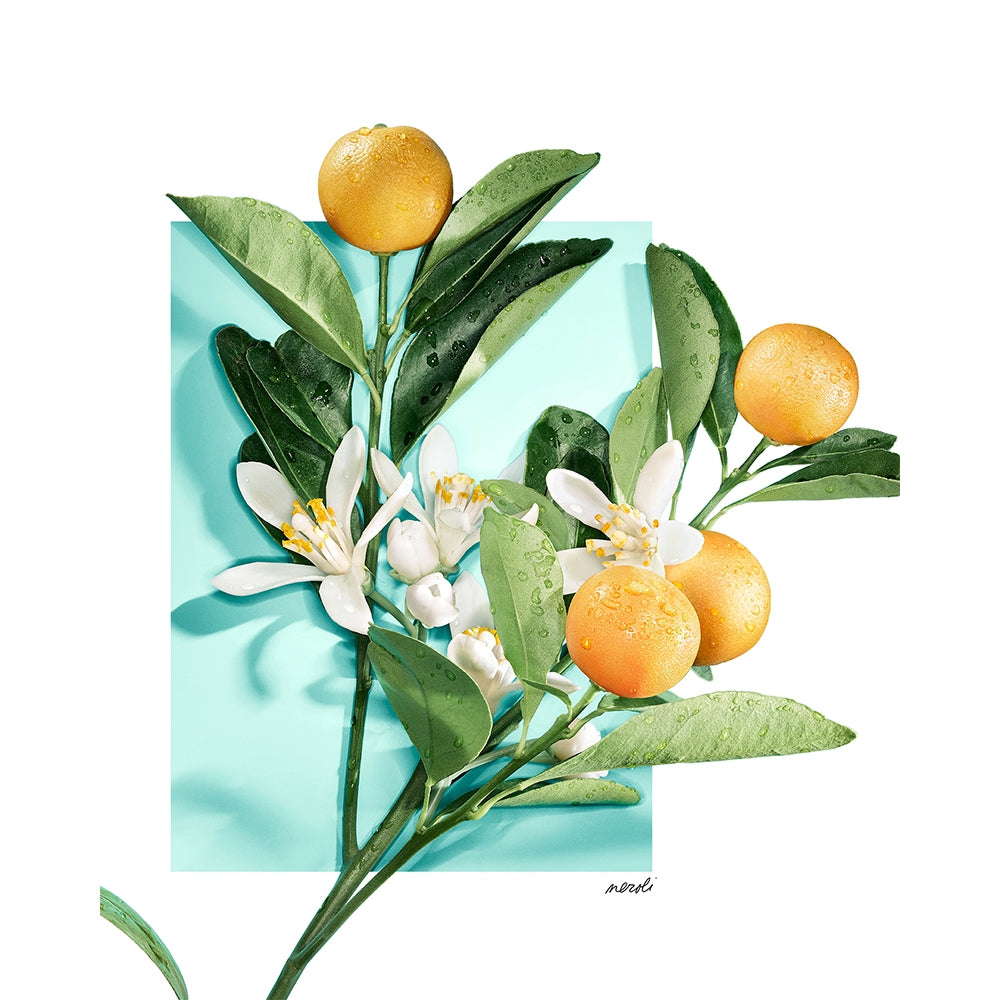 Tiffany & Co. Tiffany & Love for Her-7