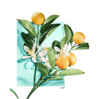 Tiffany & Co. Tiffany & Love for Her-7