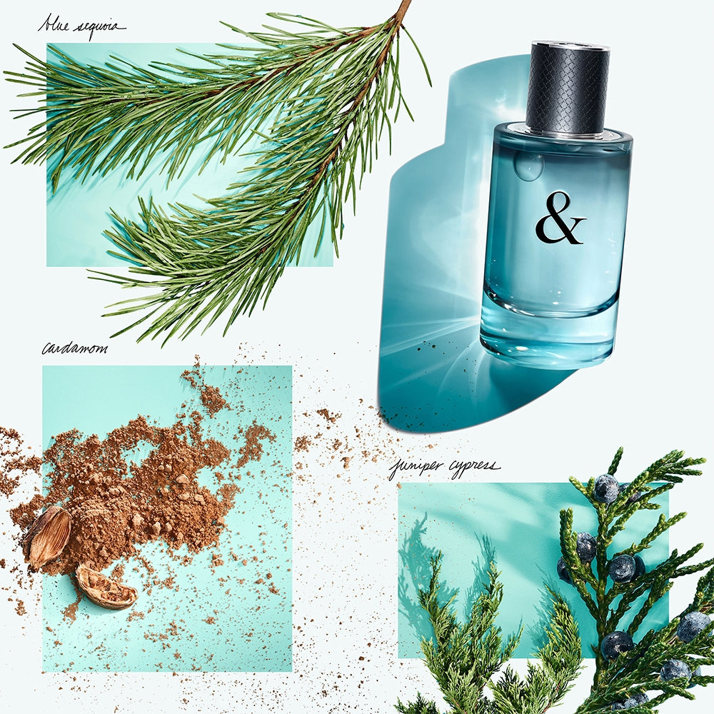 Tiffany & Co. Tiffany & Love for Him-4