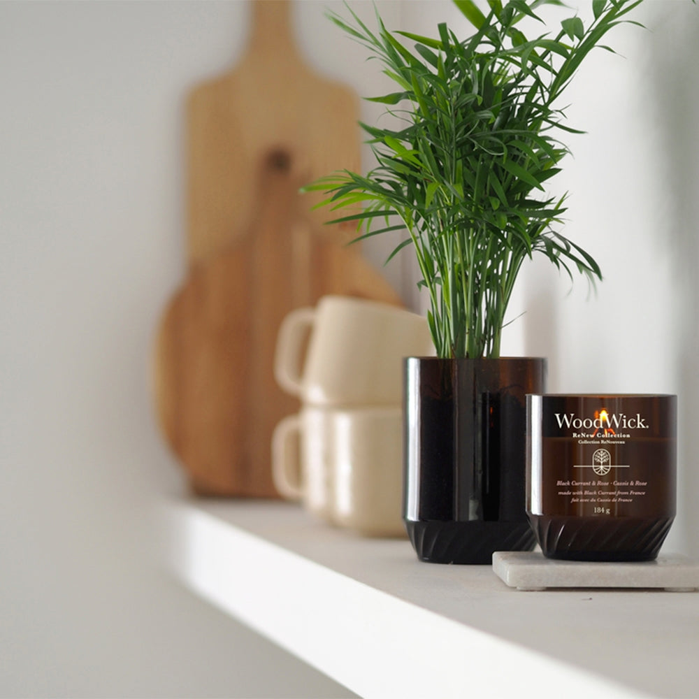 Woodwick ReNew Black Currant & Rose-5