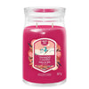 YANKEE CANDLE Santa On Skis  567 g
