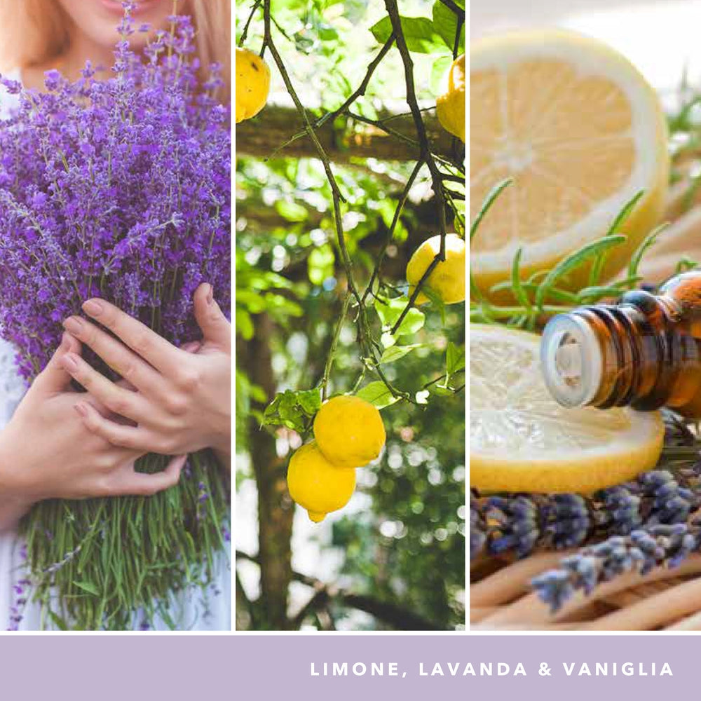 Yankee Candle Lemon Lavender Signature-3