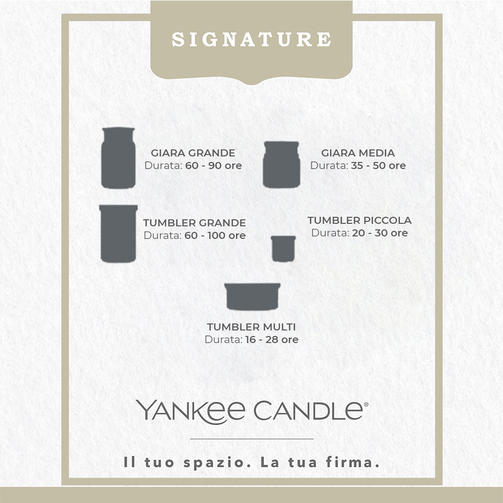 Yankee Candle White Spruce & Grapefruit-4